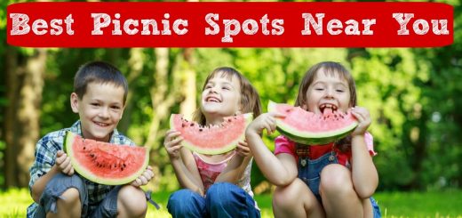 Best Picnic Areas in Kansas City for Kids