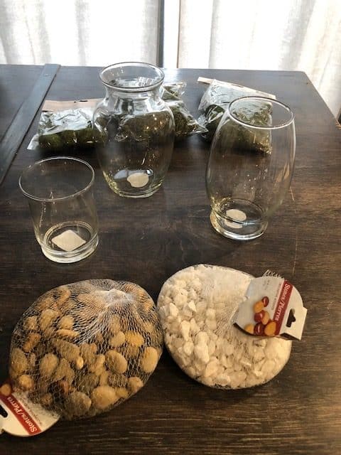 DIY Mason jar terrariums