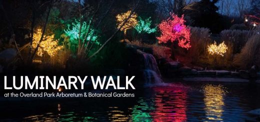 Holiday Luminary Walk at Overland Park Arboretum