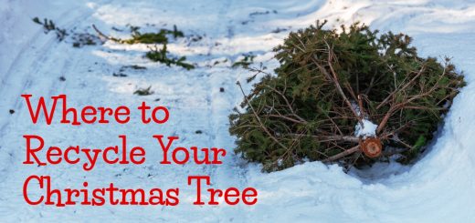 Where-to-Recycle-Your-Christmas-Tree-in-Kansas-City