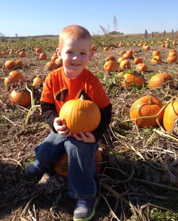 are dogs allowed at carolyns pumpkin farm