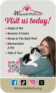 wayside-adopt-NOV2025