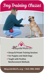 wayside-training-SEP2025