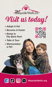 wayside-waifs-APR2026