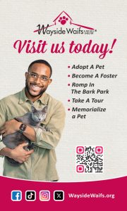 wayside-waifs-OCT2026