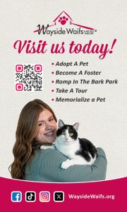wayside-waifs-SEP26