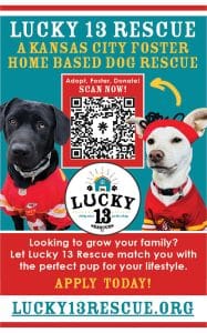 lucky13-rescue-DEC2024