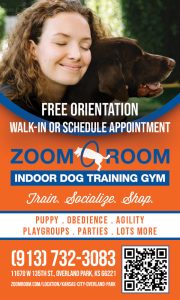 zoom-room-APR2026
