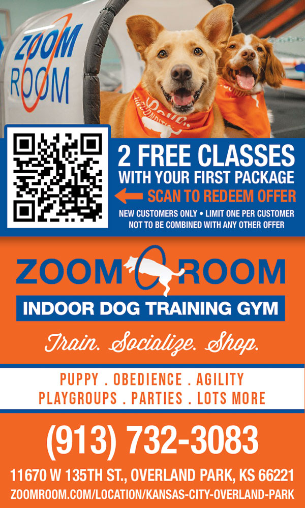 zoom-room-AUG2026