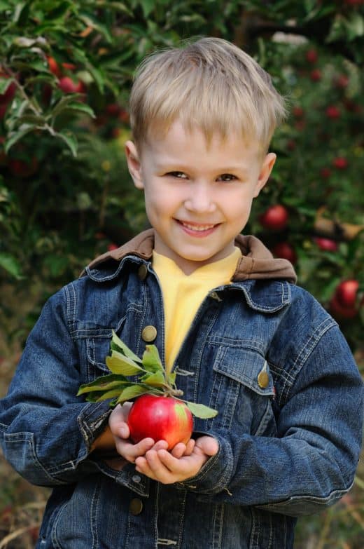 Awesome Apple Orchards in Kansas City (Where to Pick Apples)