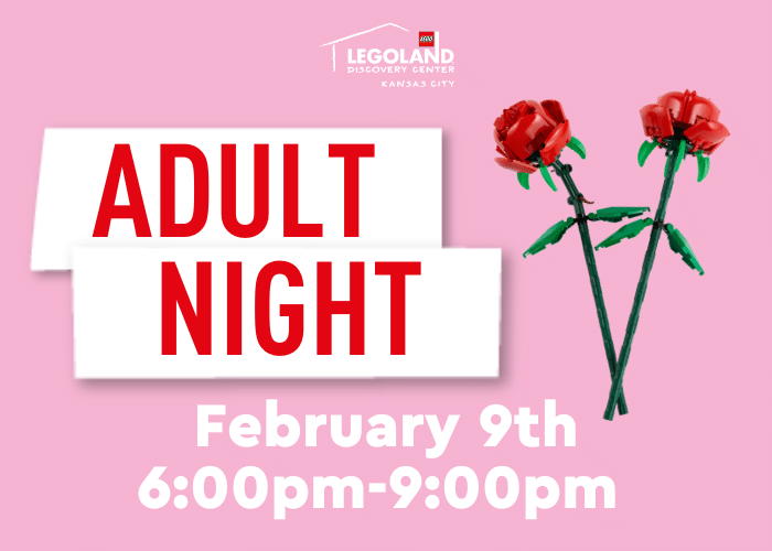 Adult Fans of LEGO® Nights