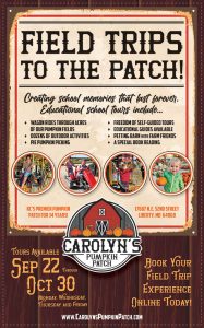 carolyns-pumpkin-FTG2025