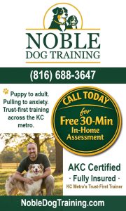 noble-dog-training-SEP26